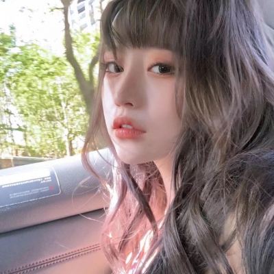 辐射避难所online虫虫助手版下载